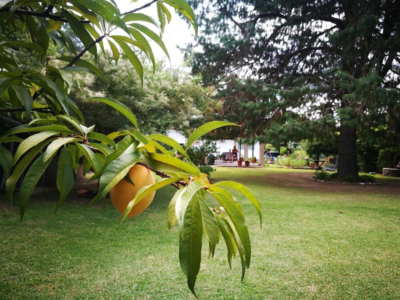 Vila El Mana Bialet Massé Exteriér fotografie